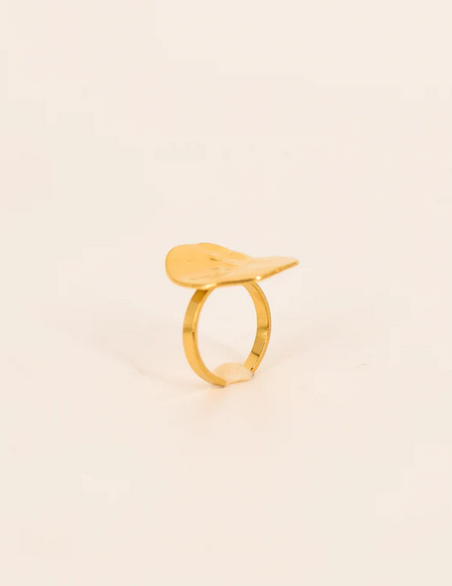 Bague DENA
