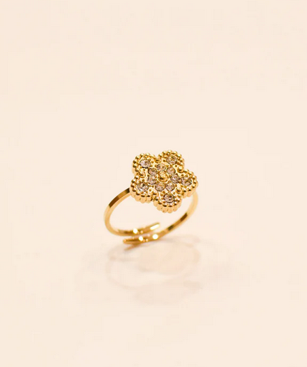 Bague Ekaitz - Nouvelle collection