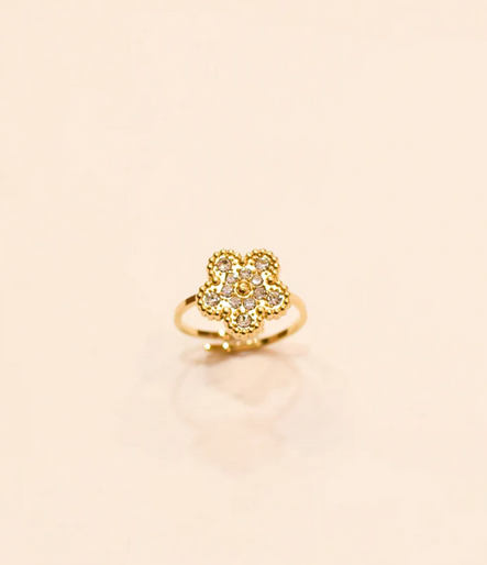 Bague Ekaitz - Nouvelle collection